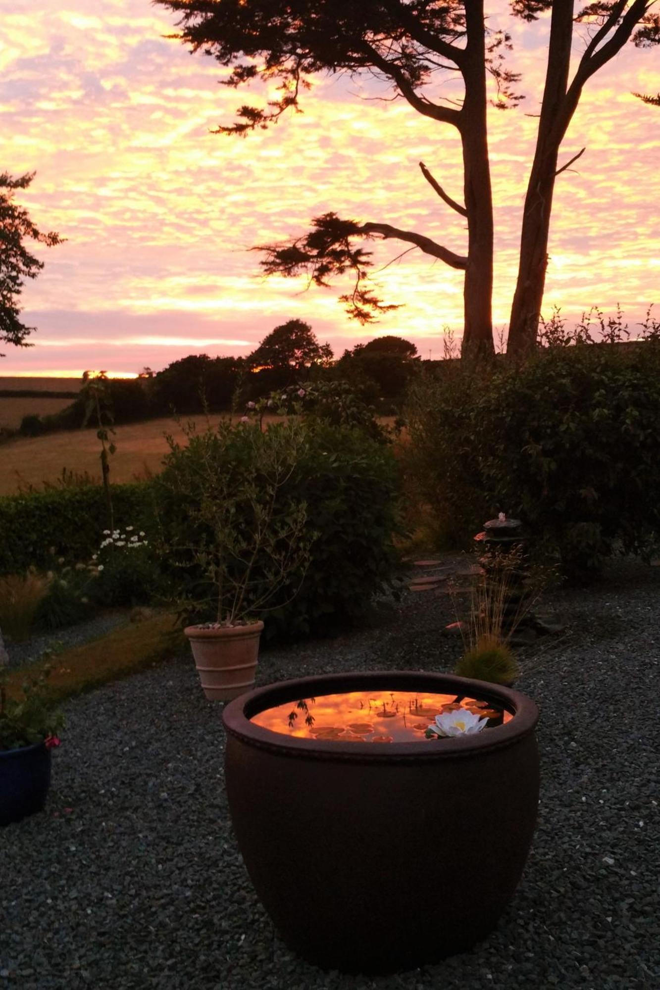 Bed and Breakfast Horsna Parc Retreat Saint Tudy Exterior foto